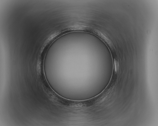 X0000110970675200906261409