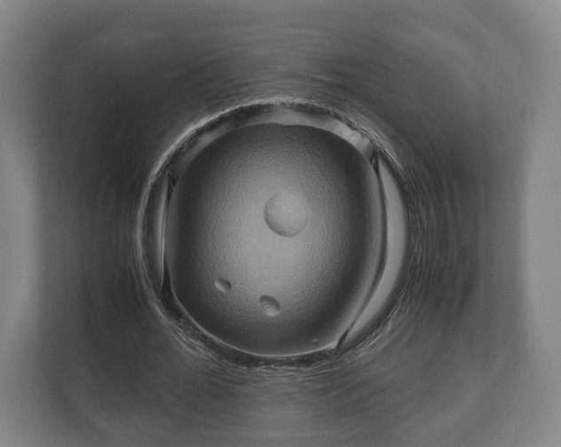 X0000110970676200906261409