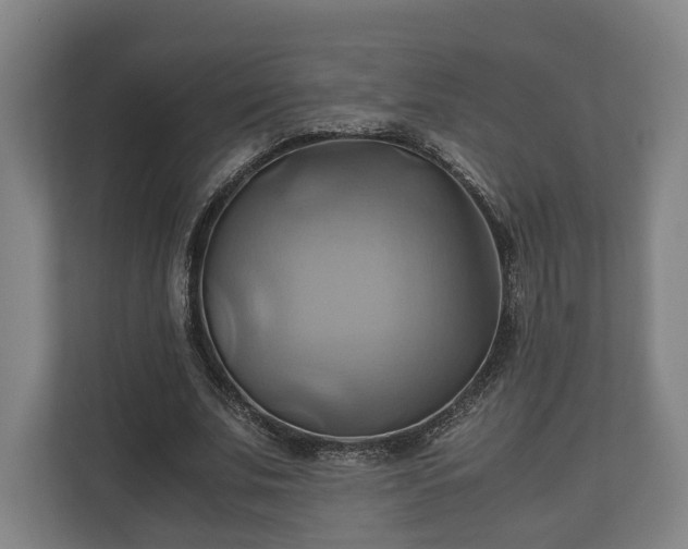 X0000110970679200906261409