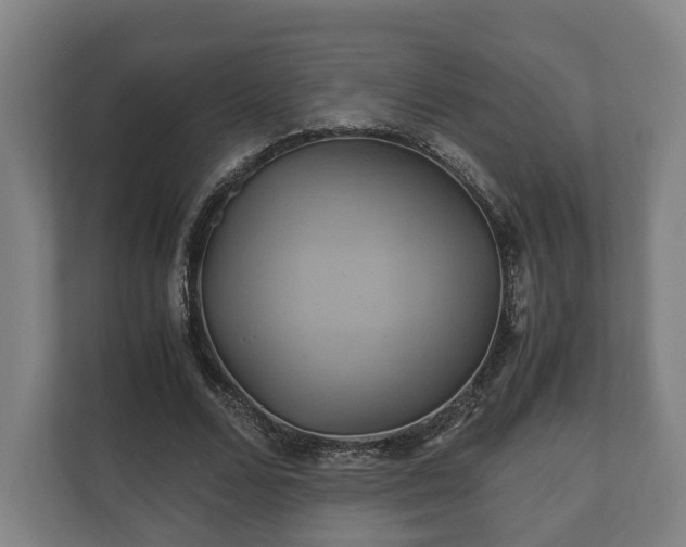 X0000110970680200906261409