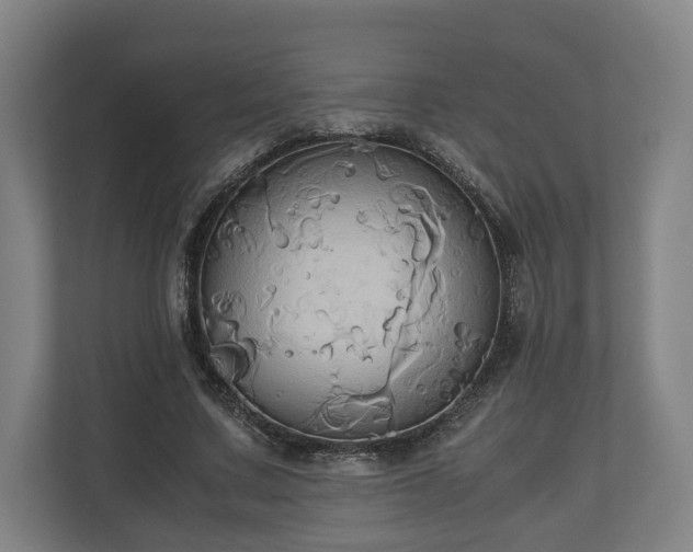 X0000110970683200906261409