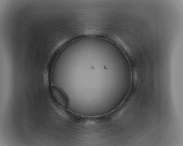 X0000110970684200906261409