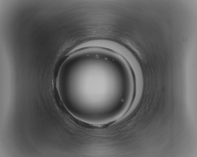 X0000110970685200906261409