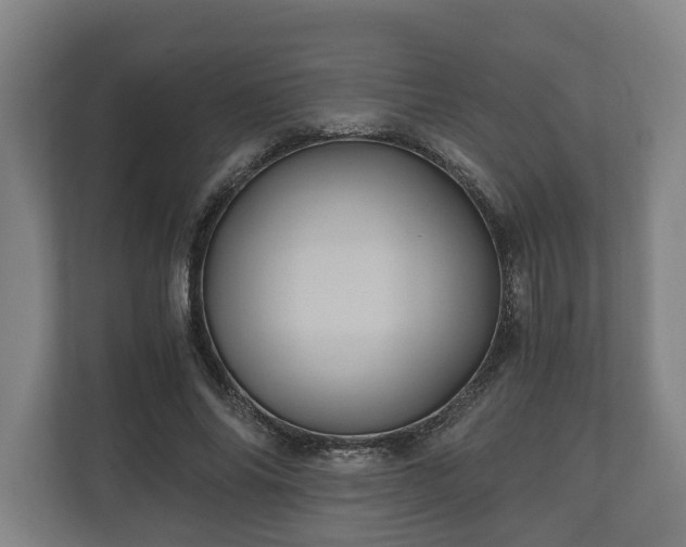 X0000110970686200906261409