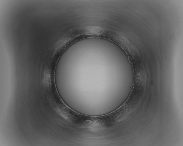 X0000110970688200906261409