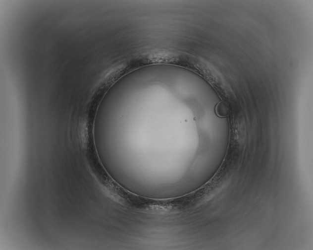 X0000110970690200906261409