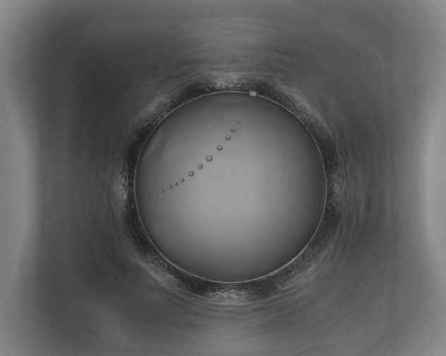 X0000110970691200906261409