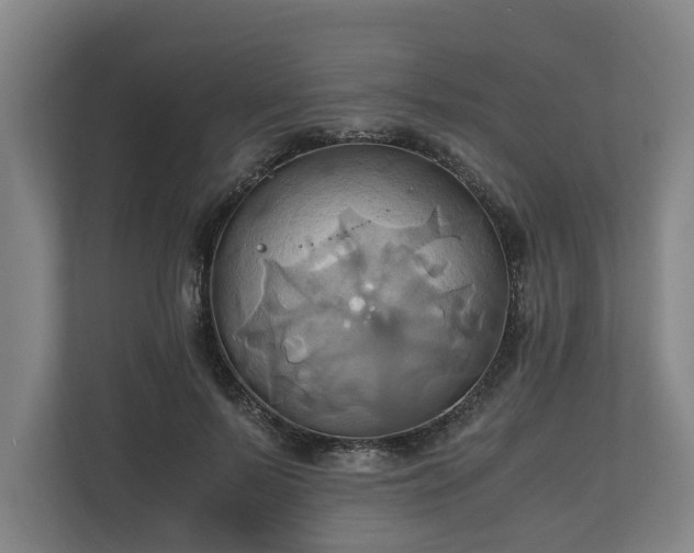 X0000110970695200906261409