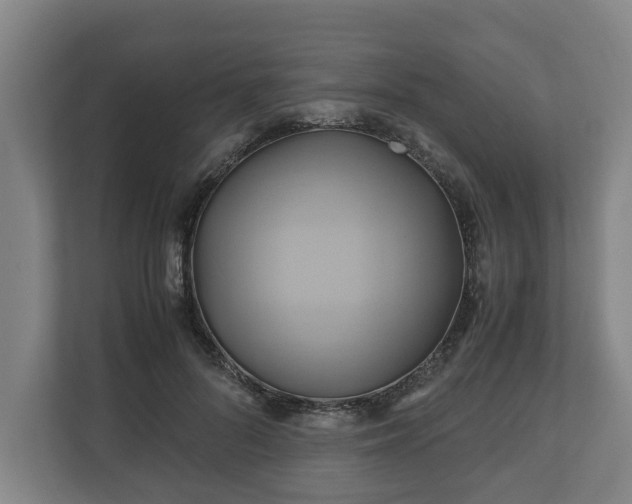 X0000110970696200906261409