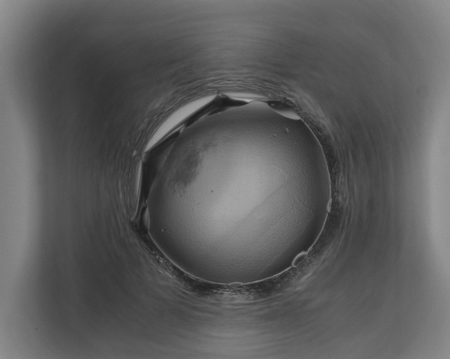 X0000110970697200906261409