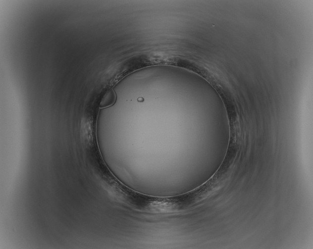 X0000110970699200906261409