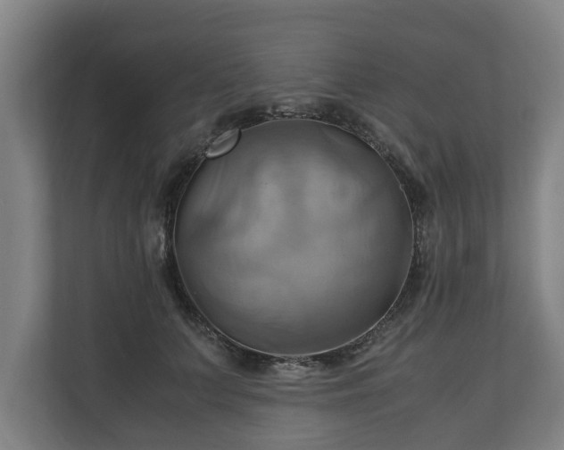 X0000110970703200906261409