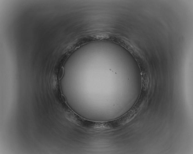 X0000110970704200906261409