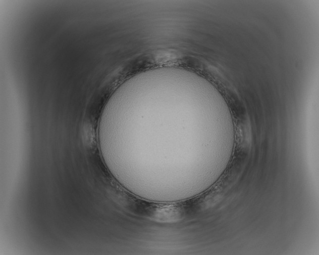 X0000110970705200906261409