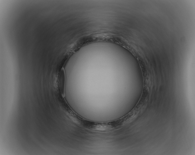 X0000110970708200906261409