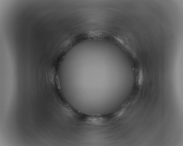 X0000110970712200906261408