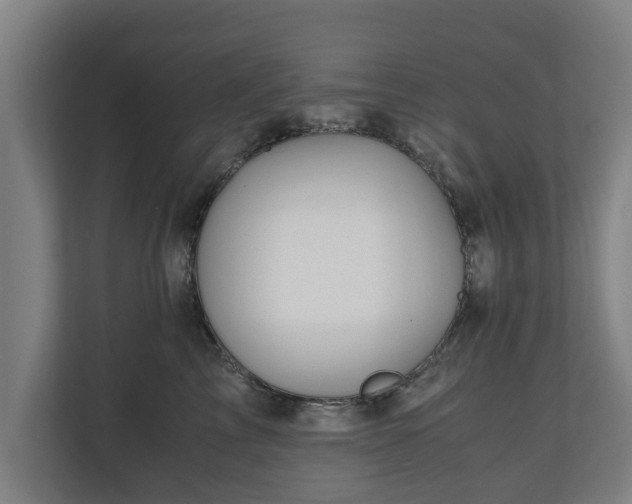 X0000110970713200906261408