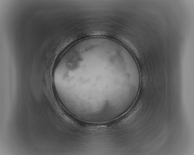 X0000110970721200906261408