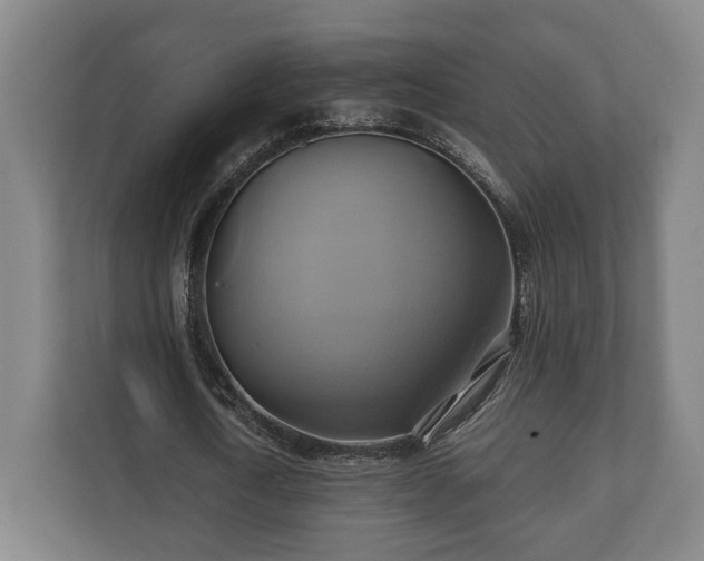 X0000110970722200906261408