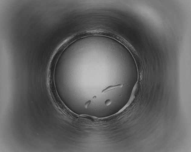 X0000110970724200906261408