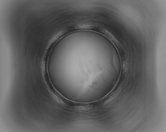 X0000110970725200906261408