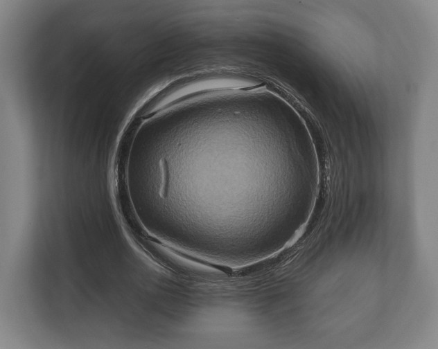 X0000110970726200906261408