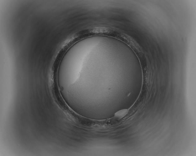 X0000110970727200906261408