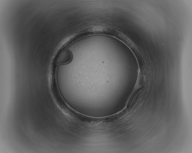 X0000110970728200906261408