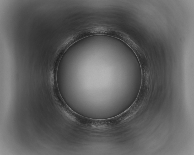 X0000110970729200906261408