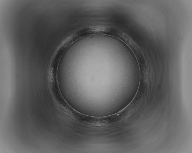 X0000110970731200906261408