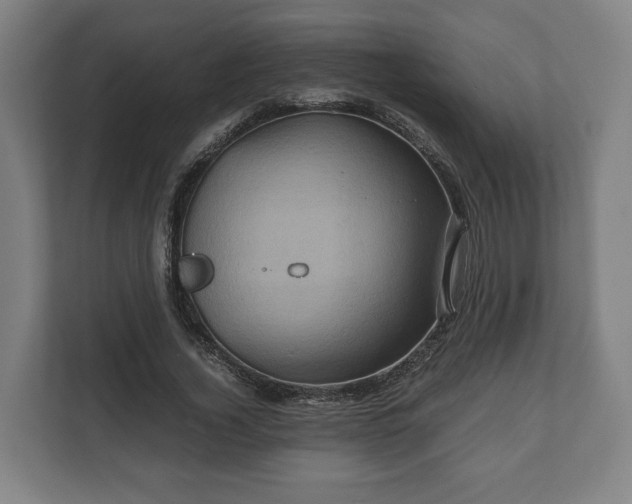 X0000110970732200906261408