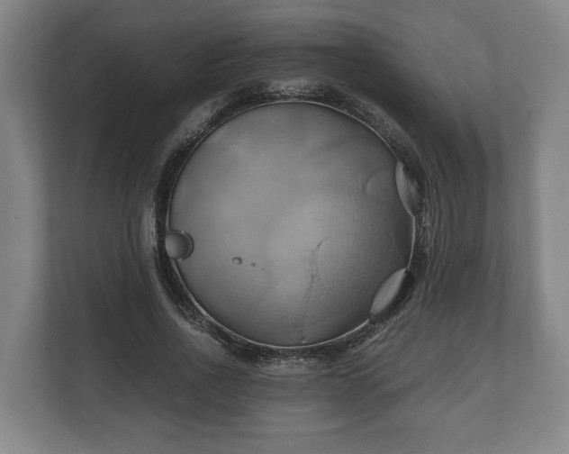 X0000110970734200906261408