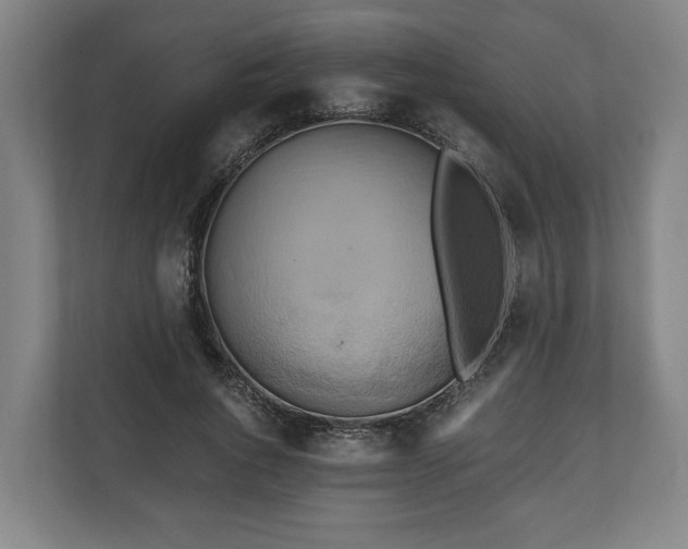 X0000110970736200906261408