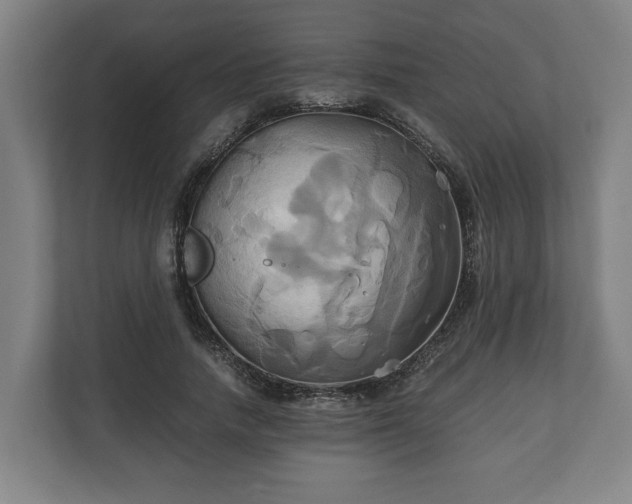 X0000110970738200906261408