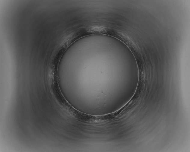 X0000110970739200906261408