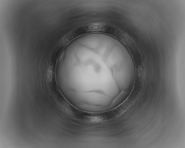 X0000110970741200906261408