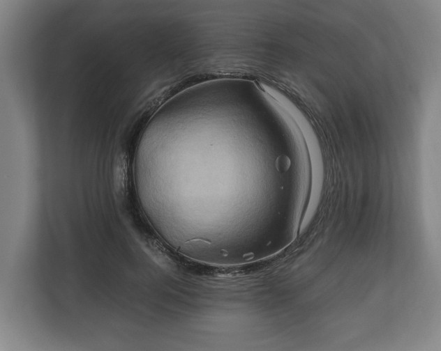 X0000110970744200906261408