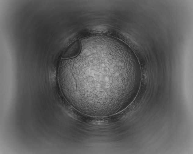 X0000110970745200906261408