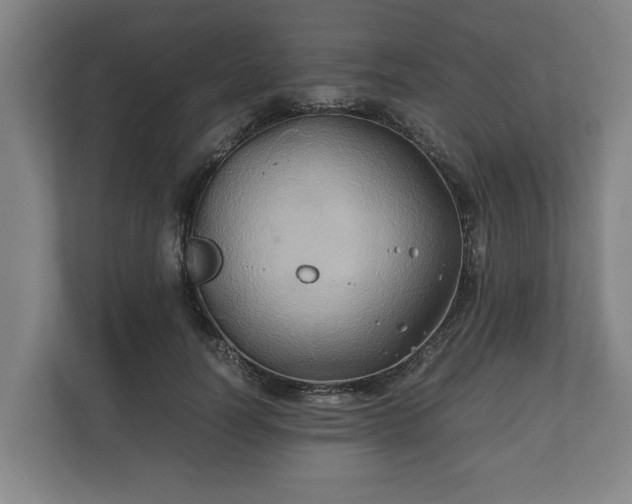 X0000110970746200906261408