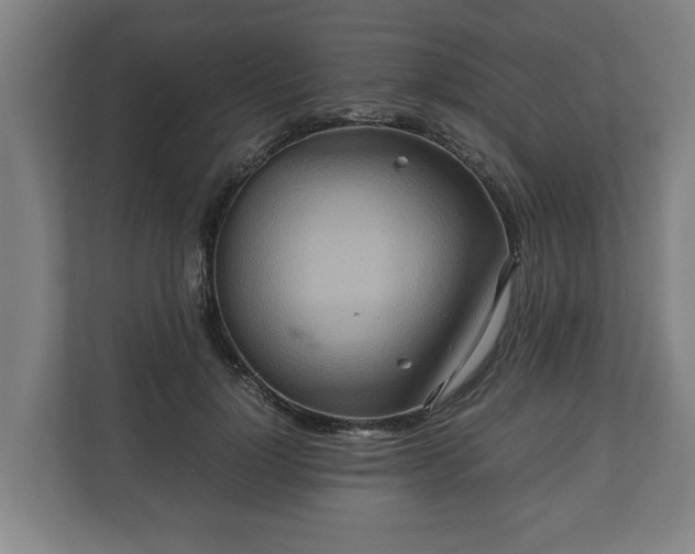 X0000110970748200906261408