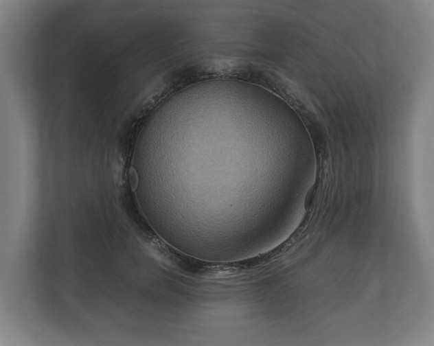 X0000110970750200906261408