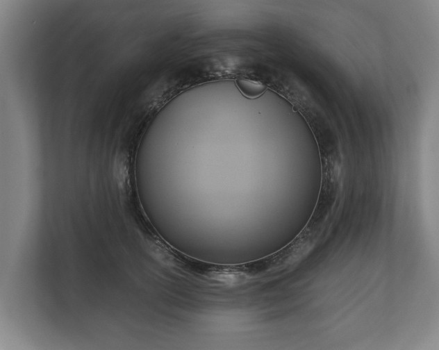 X0000110970754200906261408