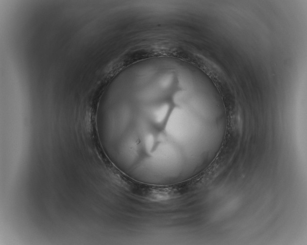 X0000110970757200906261408