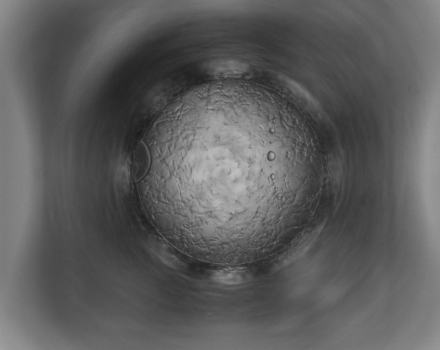 X0000110970761200906261408