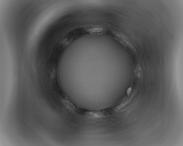 X0000110970763200906261408