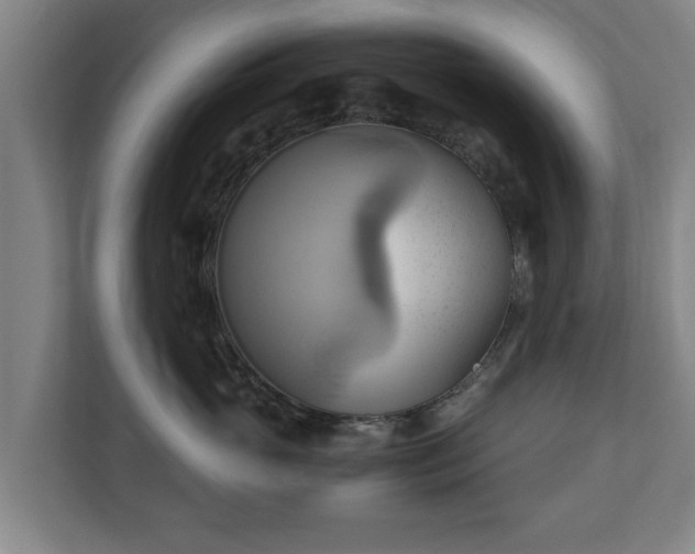 X0000110970765200906261408