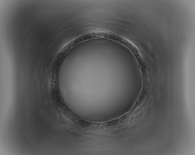 X0000110970775200906261408