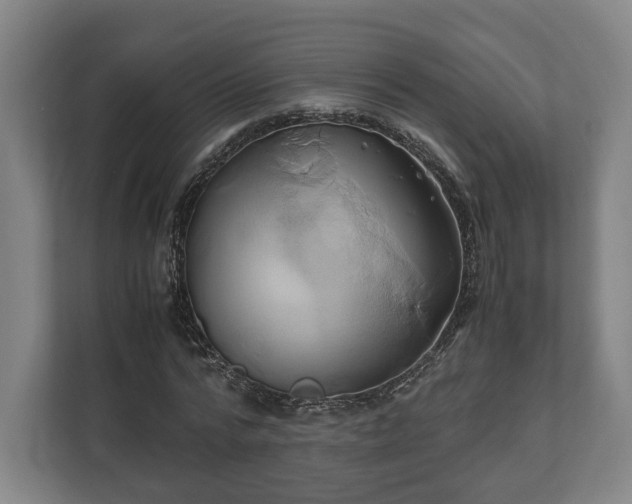 X0000110970776200906261408