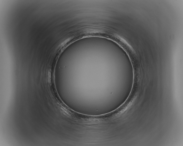 X0000110970777200906261408