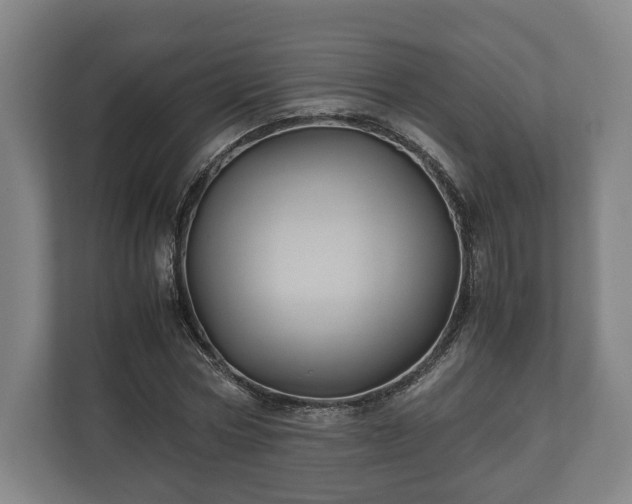 X0000110970778200906261408